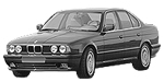 BMW E34 C010D Fault Code